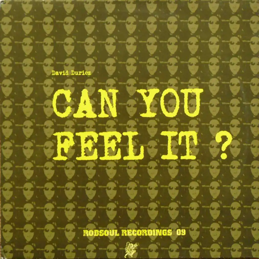 Can You Feel It (Lion I Mix)