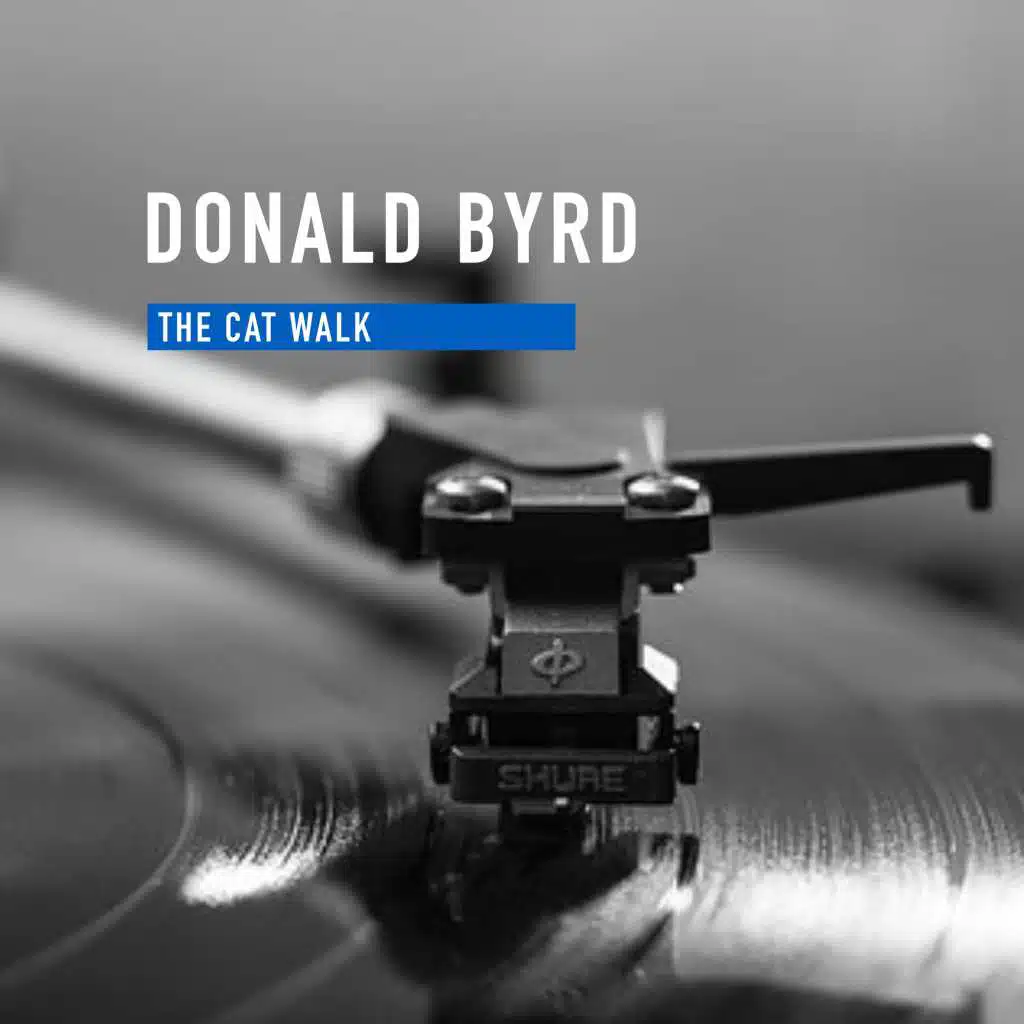 The Cat Walk