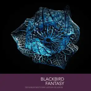 Blackbird Fantasy