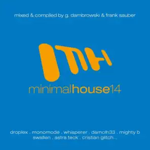 Minimal House 14