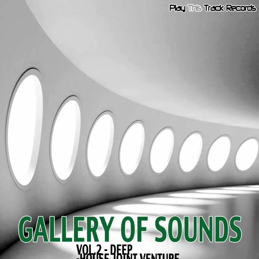 Gallery Of Sounds - Vol.2 - Deep-House Joint Venture