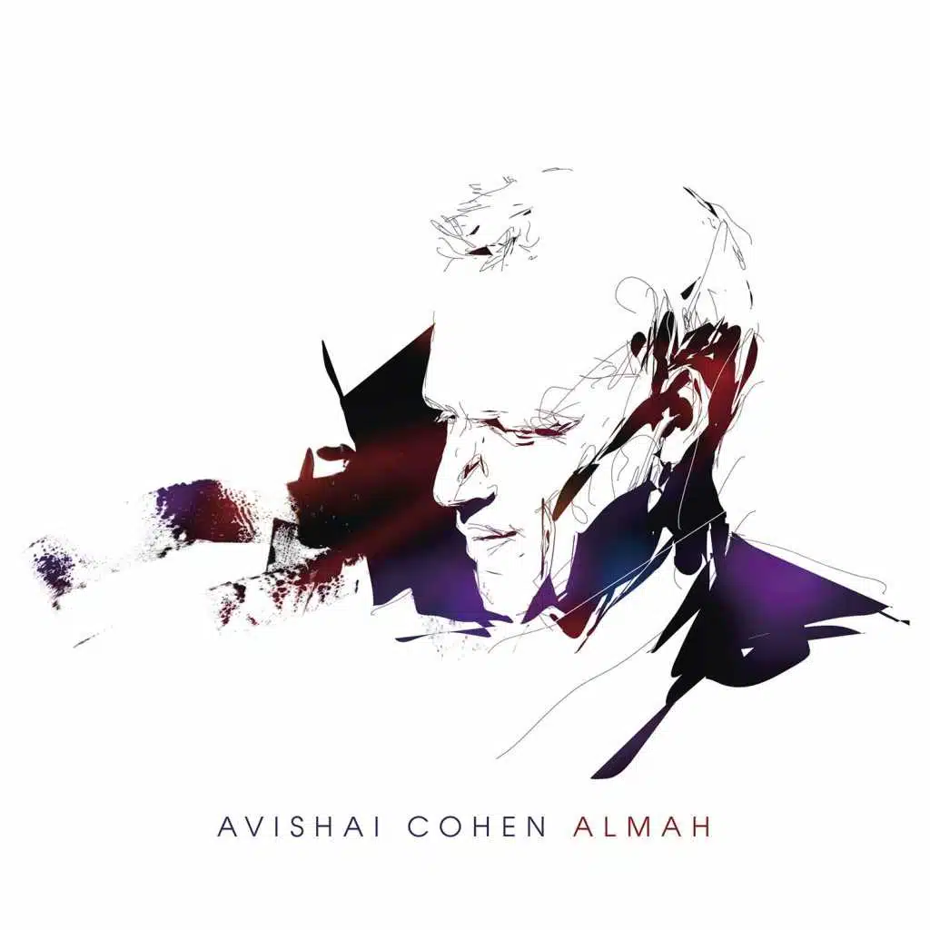 Avishai Cohen