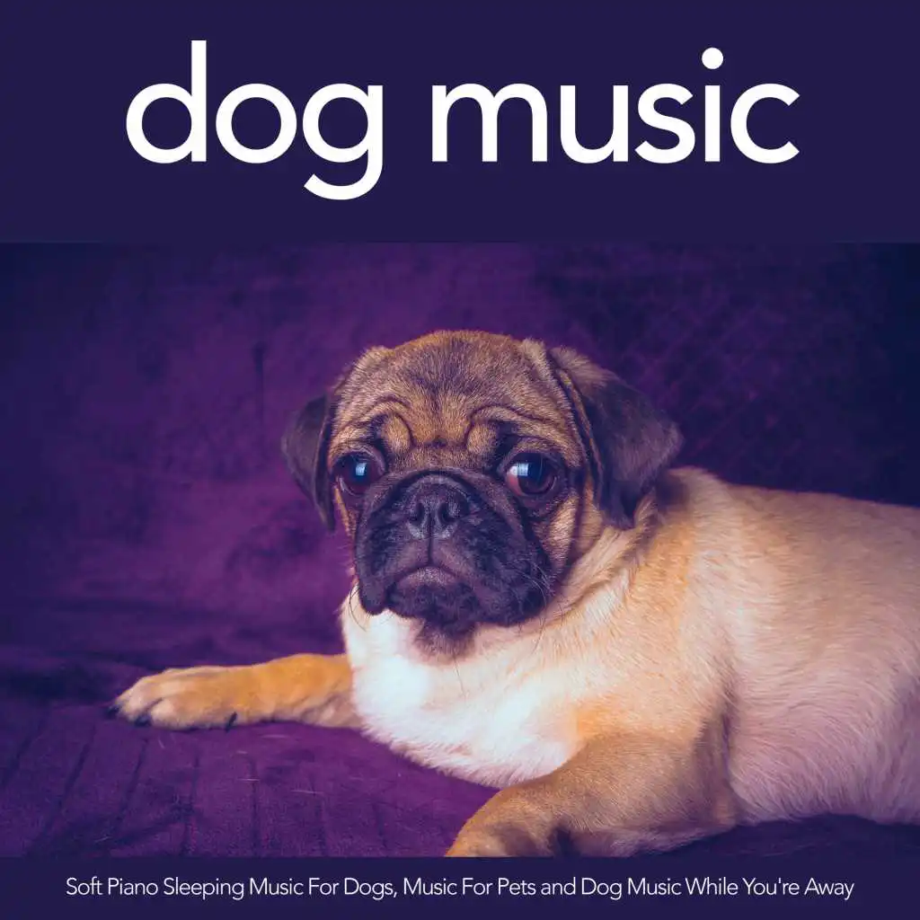 Dog Music: Soft Piano Sleeping Music For Dogs, Music For Pets and Dog Music While You're Away