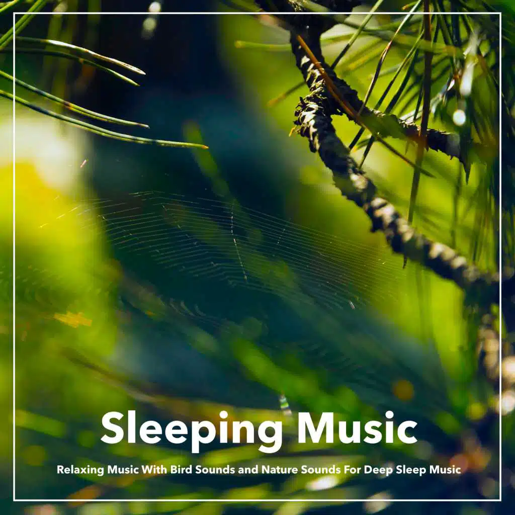 Relaxing Music For Deep Sleep