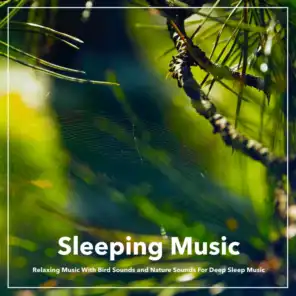 Sleeping Music: Relaxing Music With Bird Sounds and Nature Sounds For Deep Sleep
