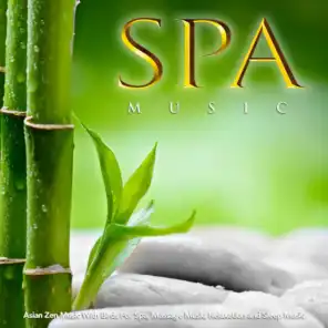 Spa Music: Asian Zen Music With Birds For Spa, Massage Music, Relaxation and Sleep Music