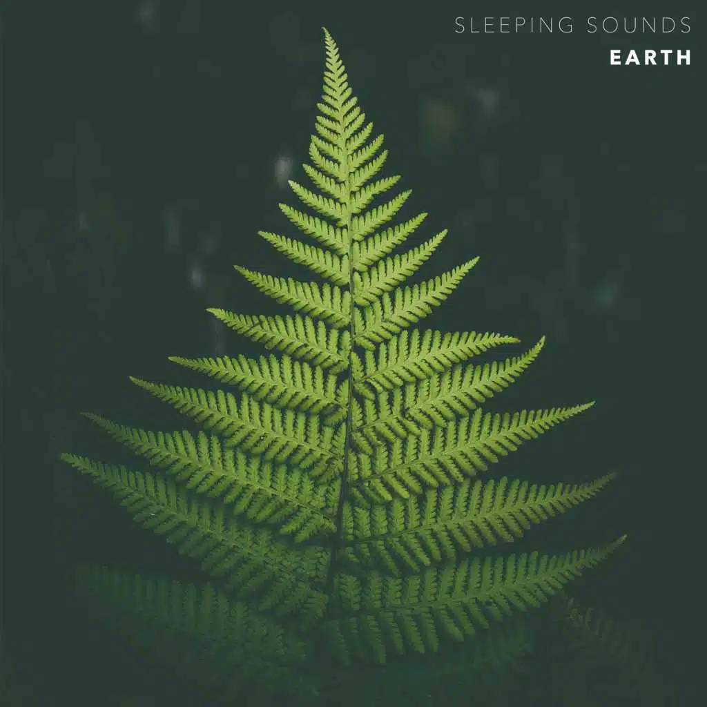 Sleeping Sounds - Earth