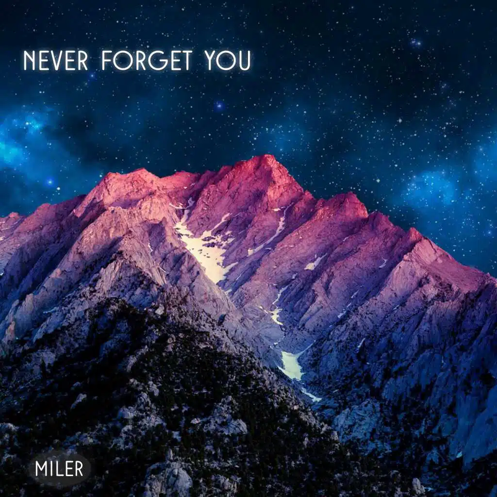 Never Forget You