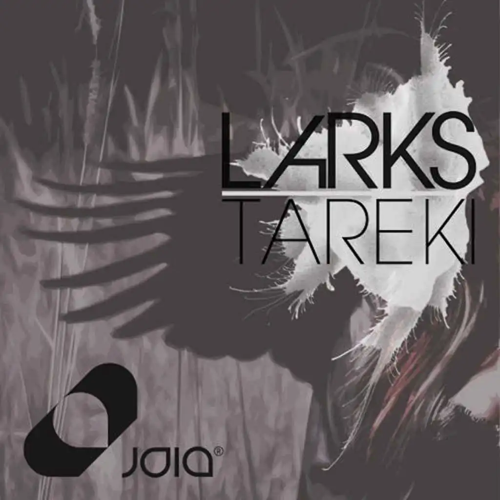 Tareki (Marc Junior Remix)