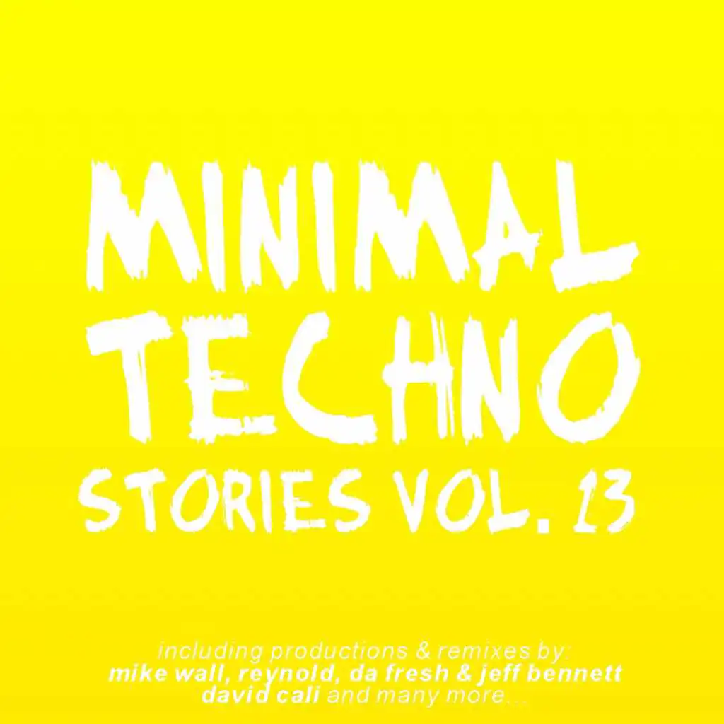 Minimal Techno Stories, Vol. 13