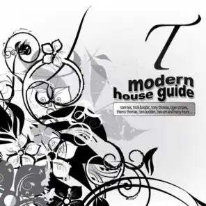 Modern House Guide - T