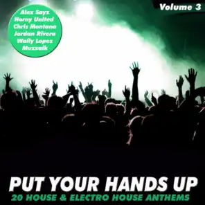 Put Your Hands Up, Vol. 3