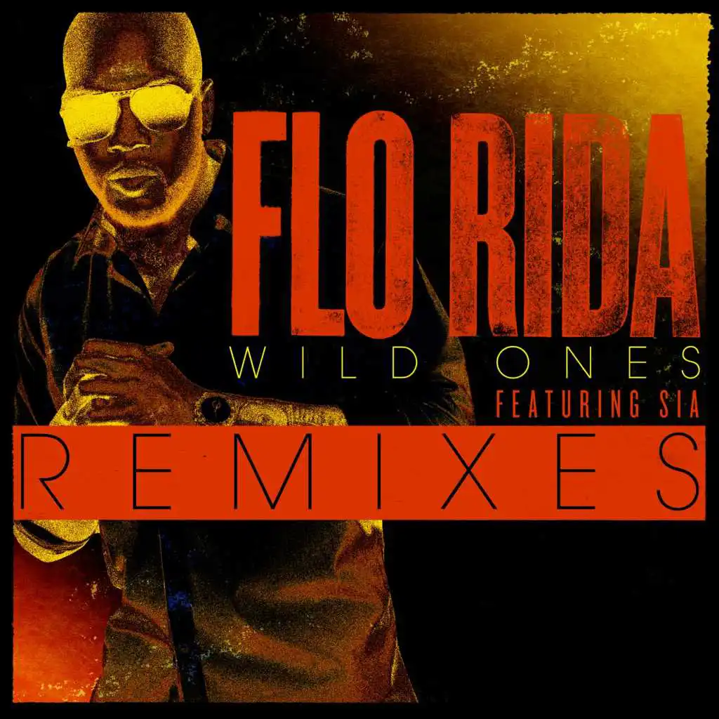 Wild Ones (feat. Sia) [Alex Guesta Remix]