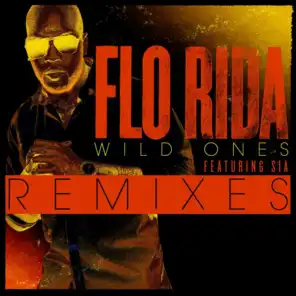 Wild Ones (feat. Sia) [Guy Scheiman Vocal Remix]