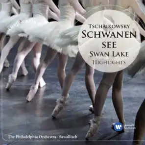 Swan Lake, Op. 20, Act I: No. 6, Pas d'action. Andantino, quasi moderato - Allegro