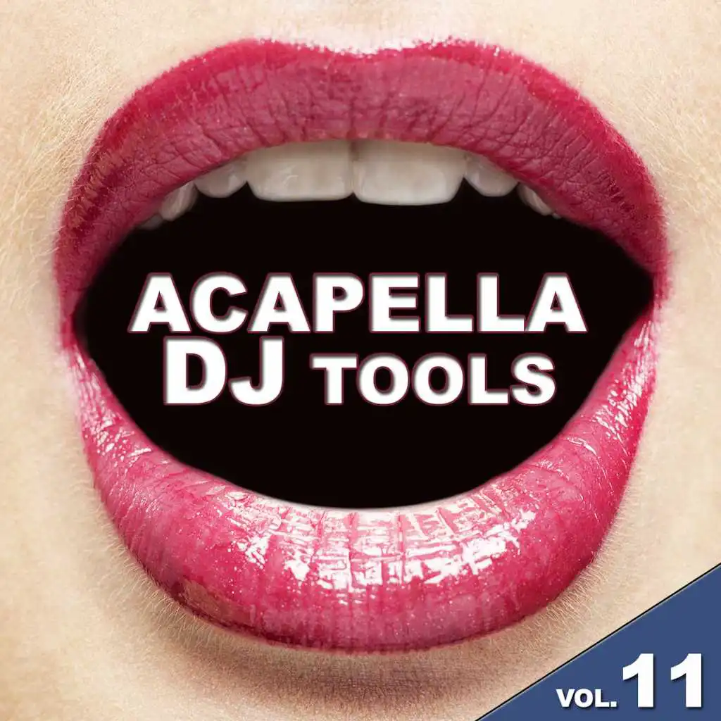 Acapella DJ Tools, Vol. 11