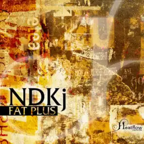 Fat Plus (Tomy DeClerque Remix)