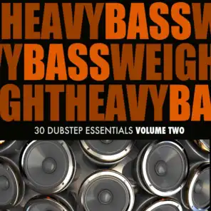 Heavy Bassweight, Vol. 2 - 28 Dubstep Essentials