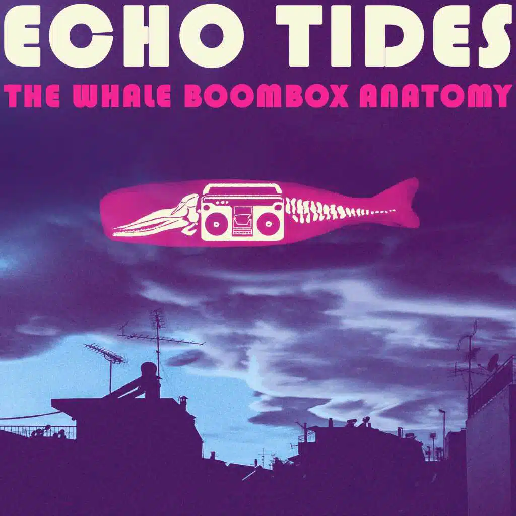 The Whale Boombox Anatomy