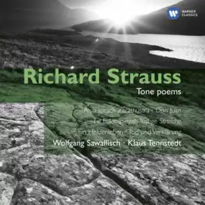 Also sprach Zarathustra, Op. 30: III. Of the Great Longing (feat. Michael Stairs)