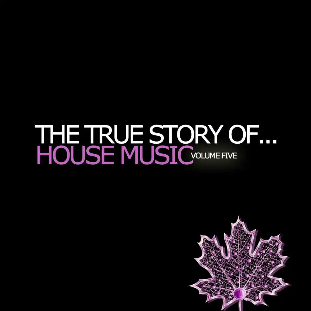 The True Story Of...House Music, Vol. 5
