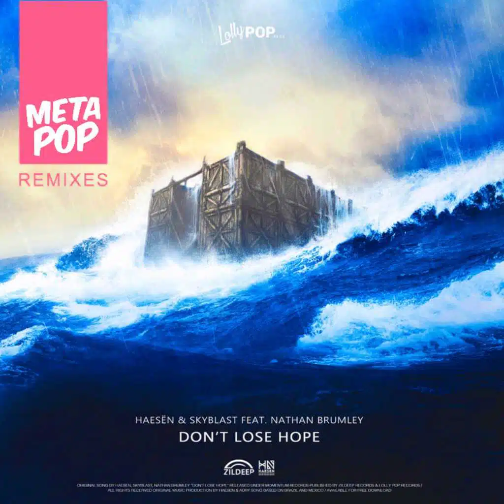 Don't Lose Hope: MetaPop Remixes