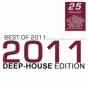 Best of 2011 - Deep-House Edition