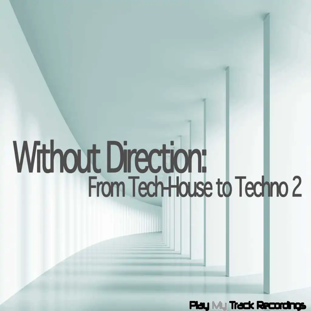 Without Direction: From Tech-House to Techno, Vol. 2