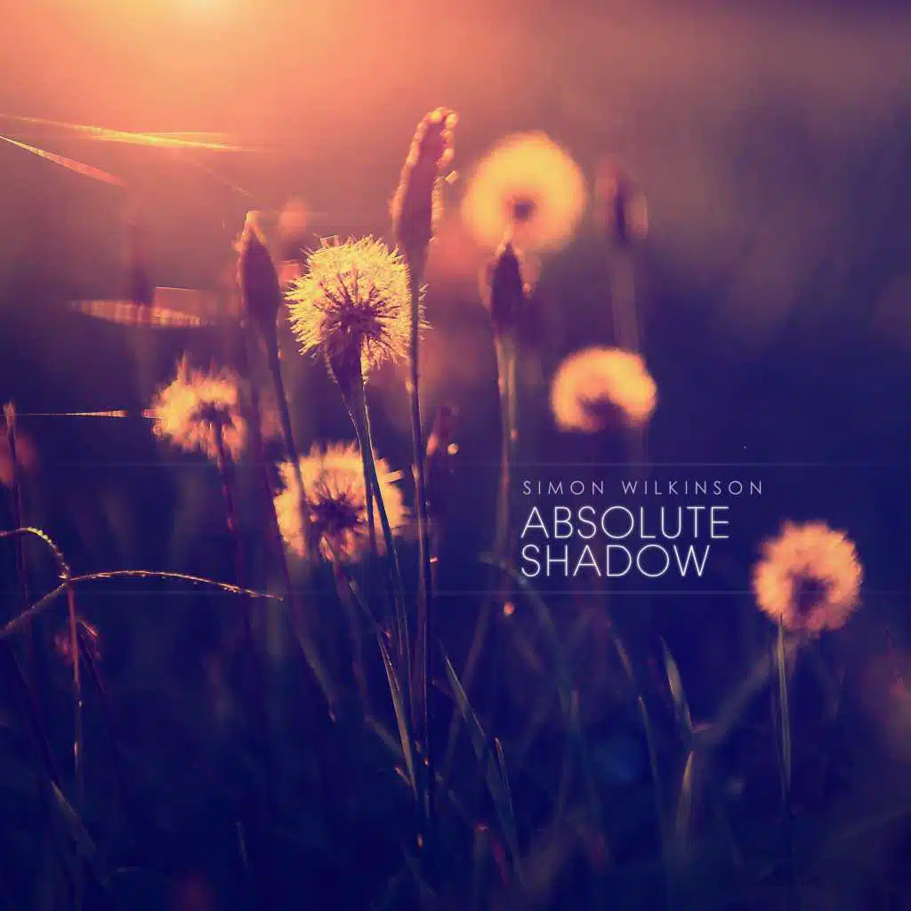 Absolute Shadow