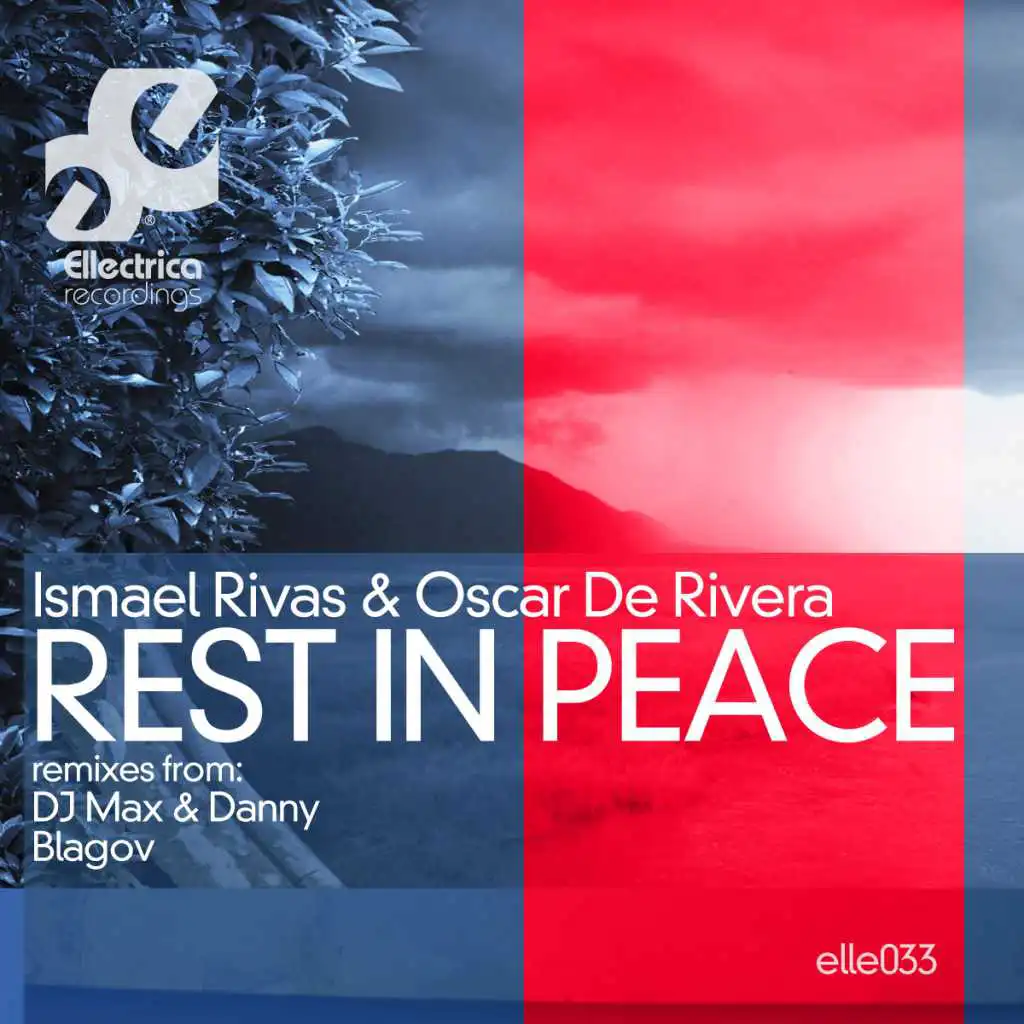 Rest in Peace (DJ Max & Danny Remix)