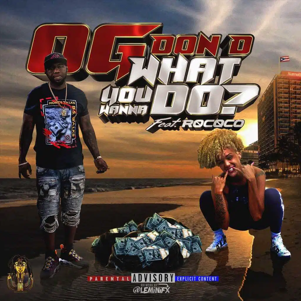 What You Wanna Do? (feat. R0c0co)