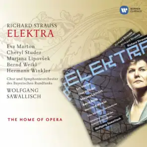 Elektra, Op. 58: Ich kann nicht sitzen und ins Dunkel starren (Chrysothemis/Elektra)