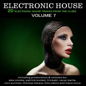 Electronic House, Vol. 7