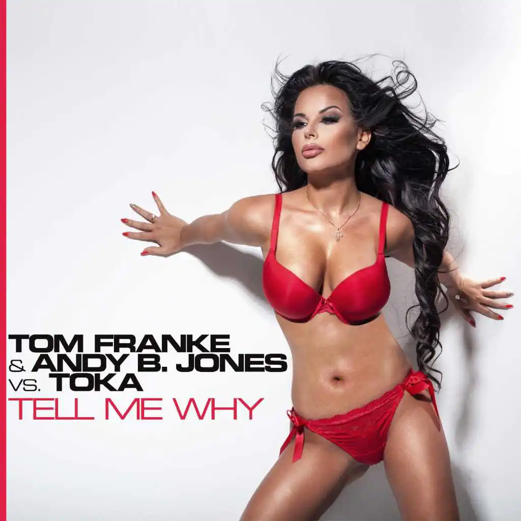 Tell Me Why (Andy B. Jones Remix Edit) [feat. Andy B. Jones Vs.]