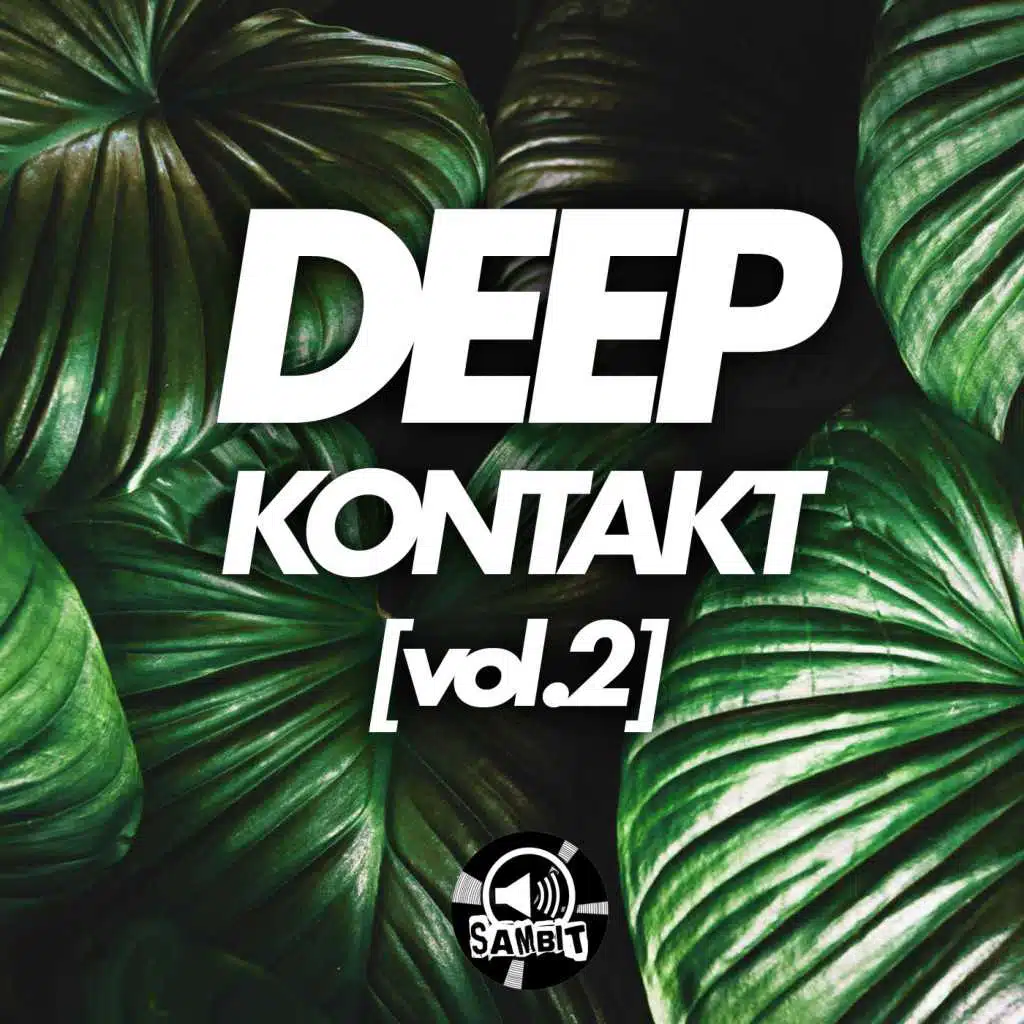 Deep Kontakt, Vol. 2