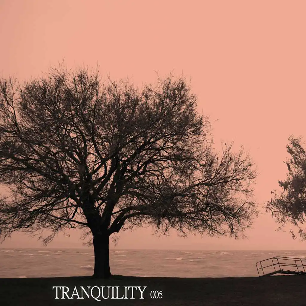 Tranquility 005