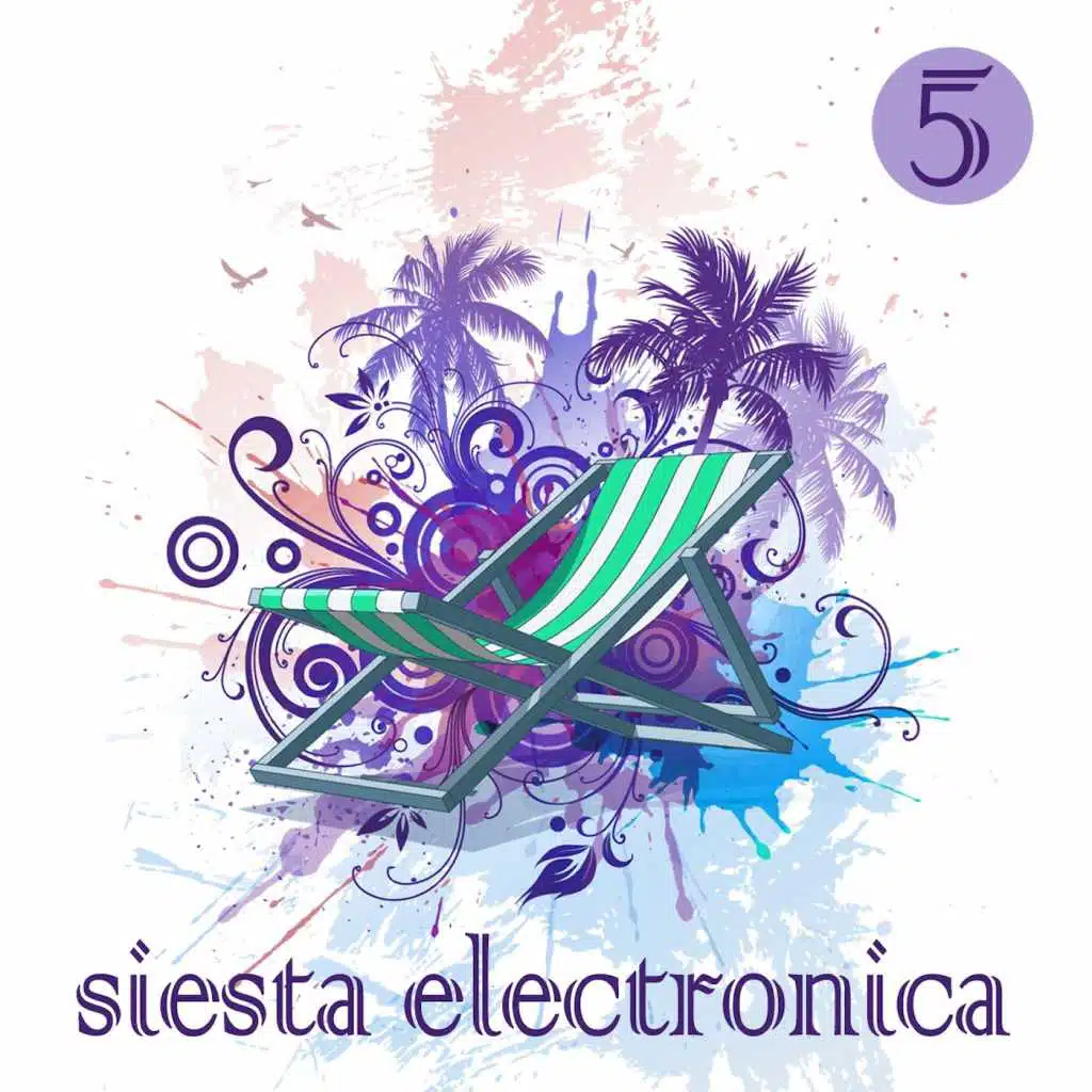 Siesta Electronica, Vol. 5