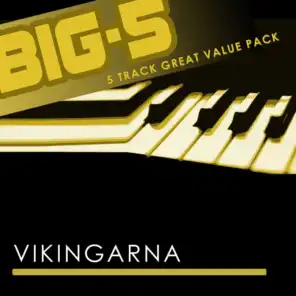 Big-5 : Vikingarna