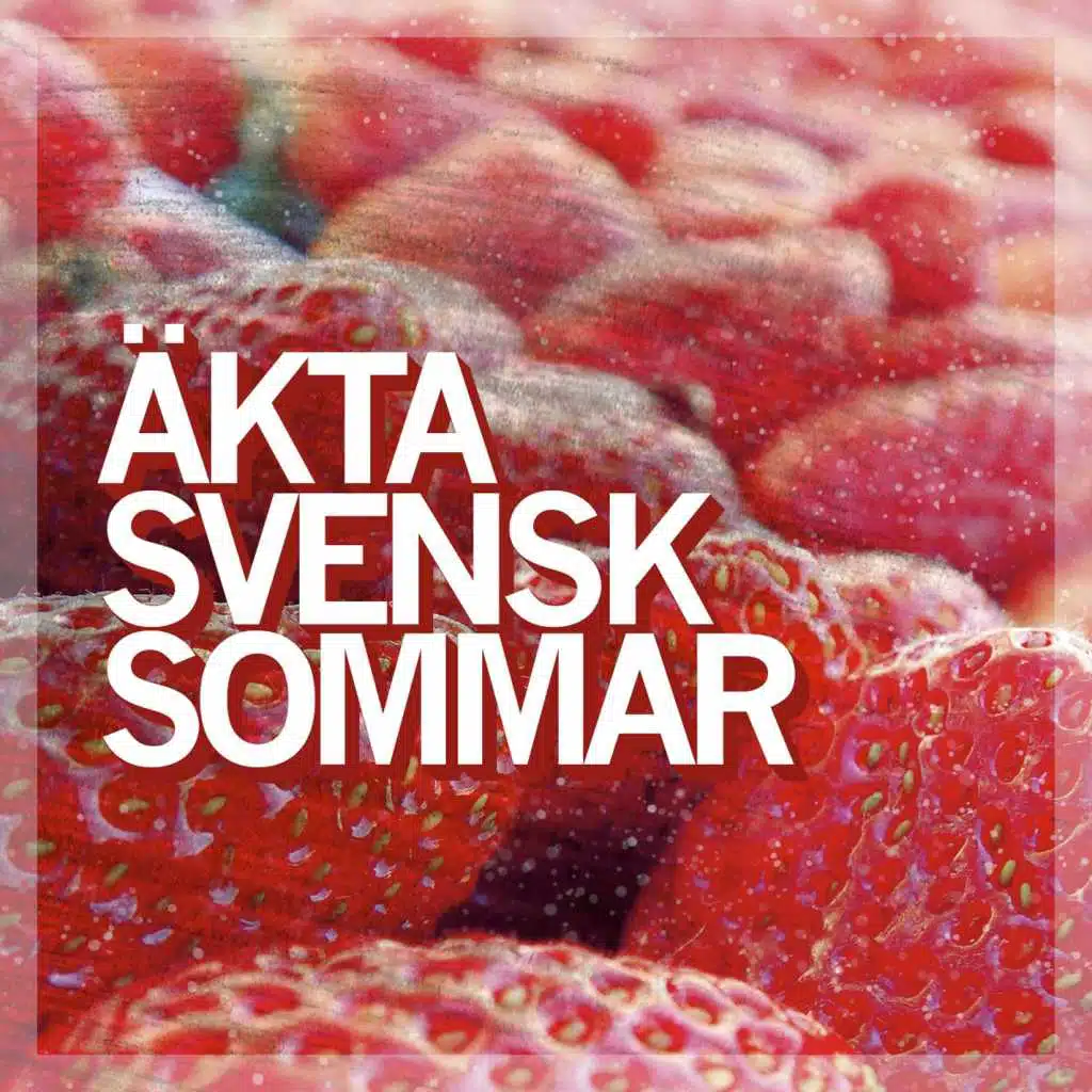 Äkta svensk sommar (NEW)