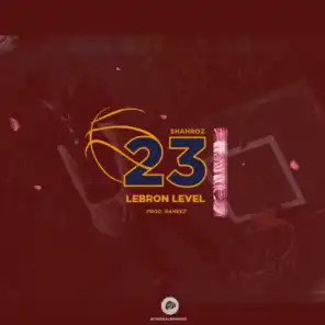 LeBron Level