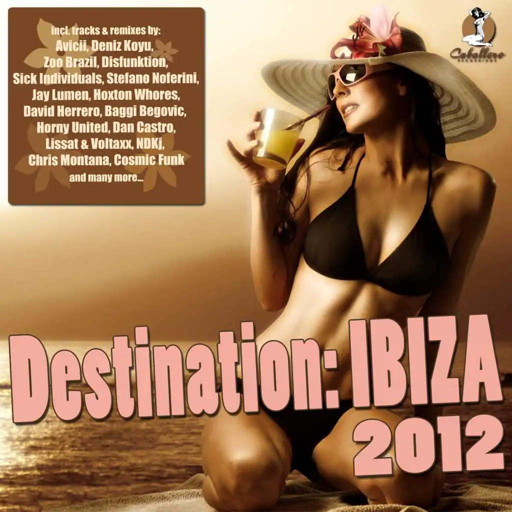 Destination: Ibiza 2012 - DJ Mix 01 (Continuous DJ Mix)