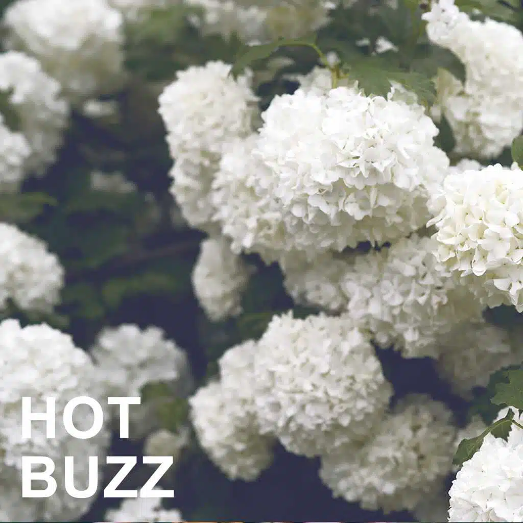 Get Your Kicks on Route 66