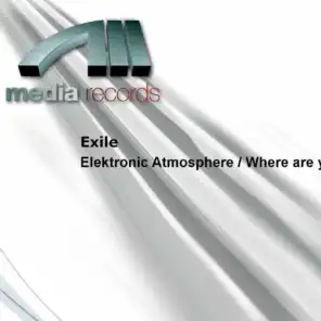 Elektronic Atmosphere / Where Are You  (Where Are Y)