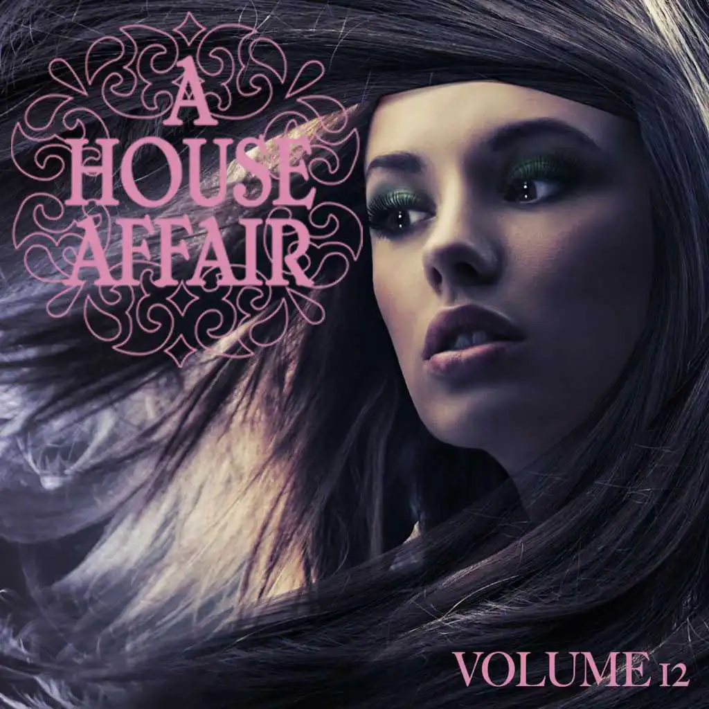 A House Affair, Vol. 12