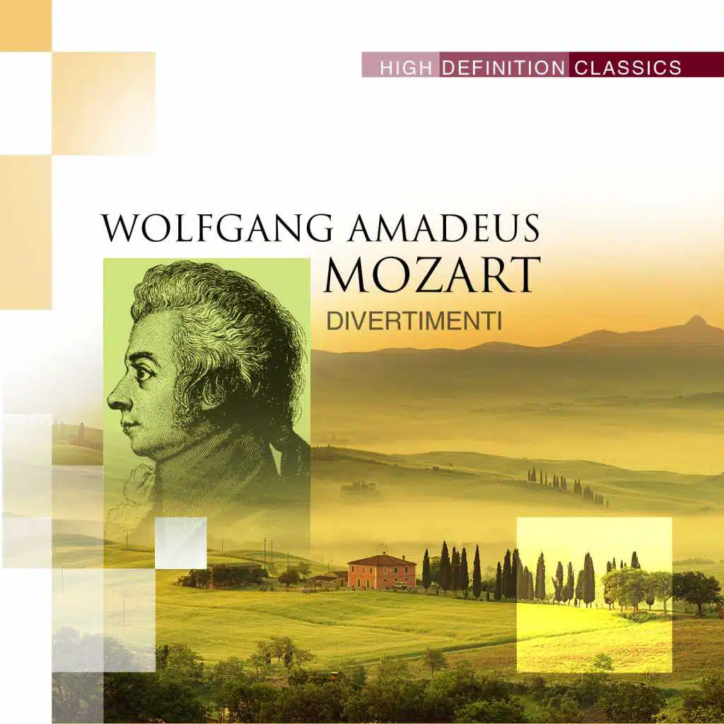 Divertimento in B flat major, K. 137 : I. Andante