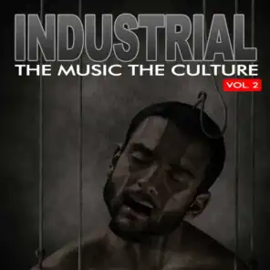 The Music The Culture: Industrial, Vol. 2