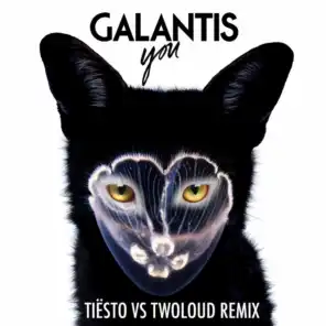 You (Tiësto vs. Twoloud Radio Edit)
