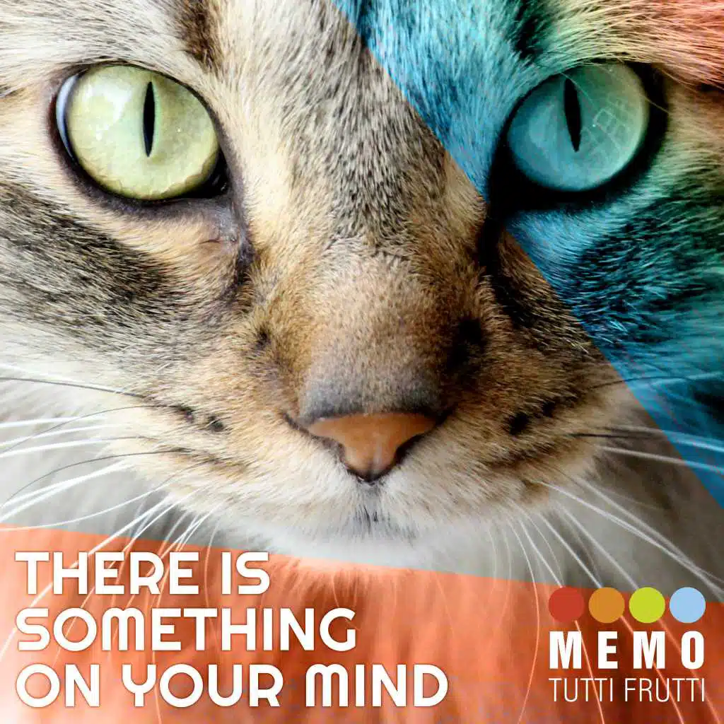 Everyday I Have The Blues