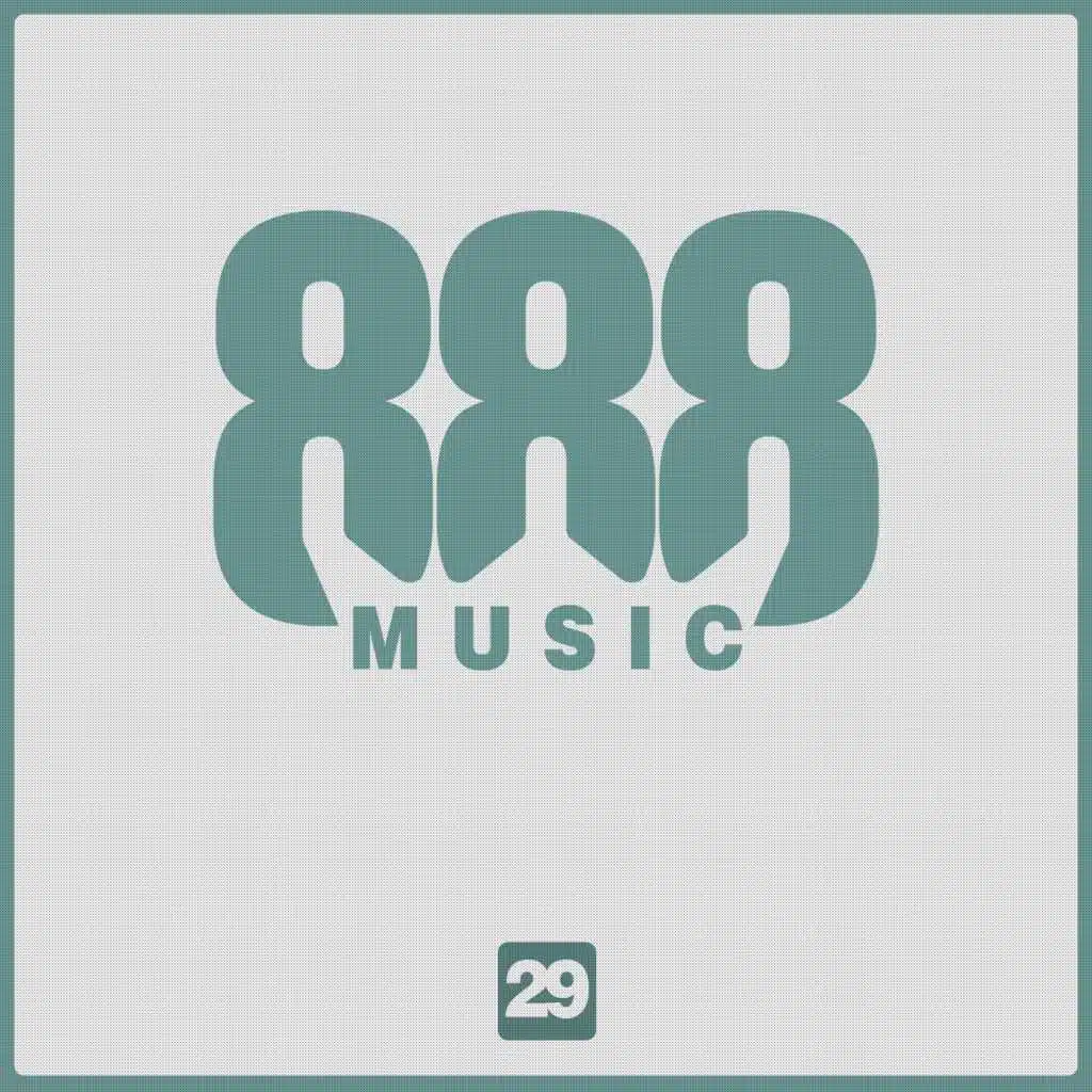888, Vol. 29