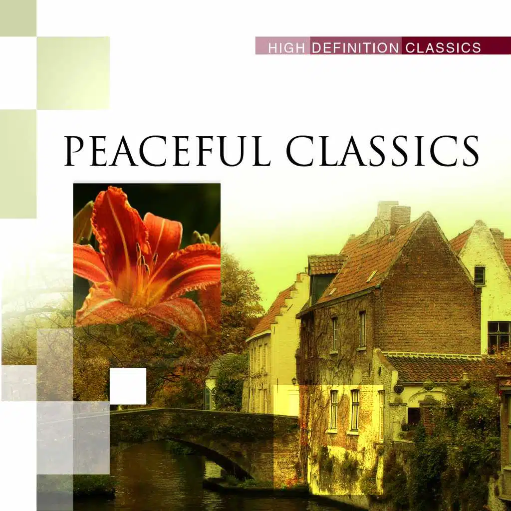 Piano Concerto No.5 in E flat major, The Emperor, Op. 73 : II. Adagio un poco mosso (attacca:)